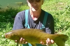 linj