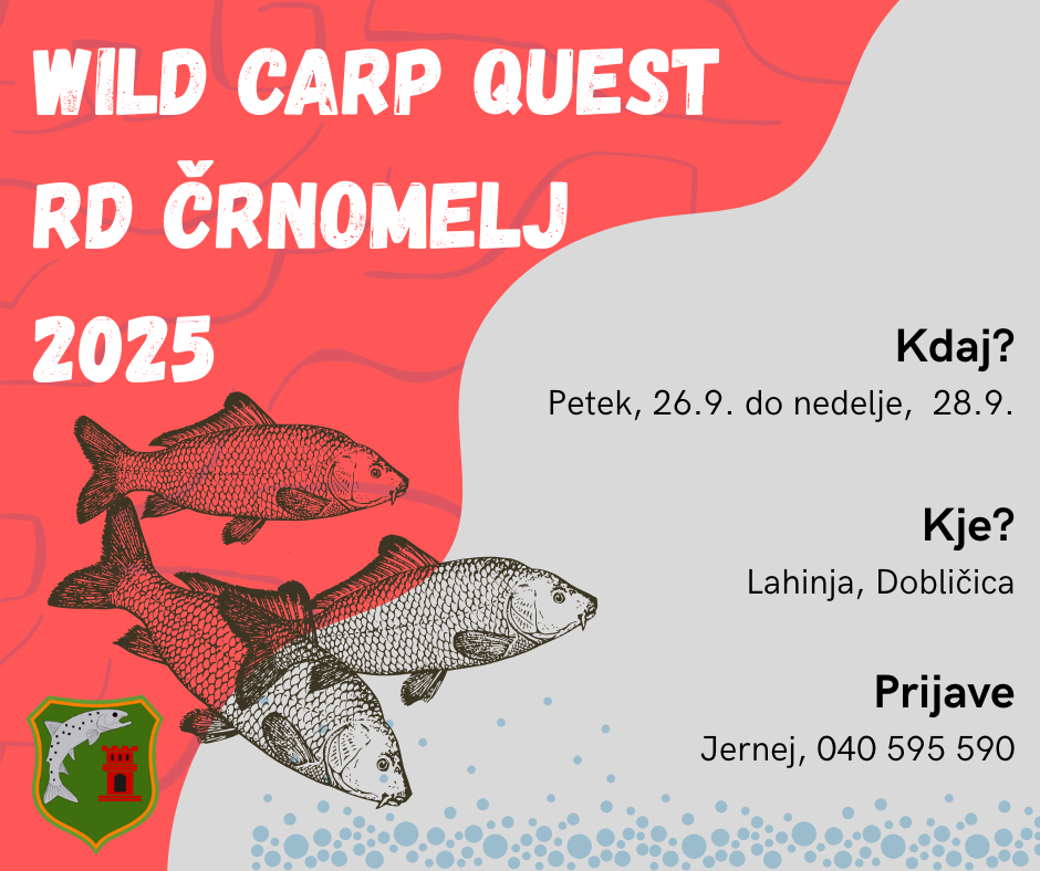 Wild Carp Quest 2025